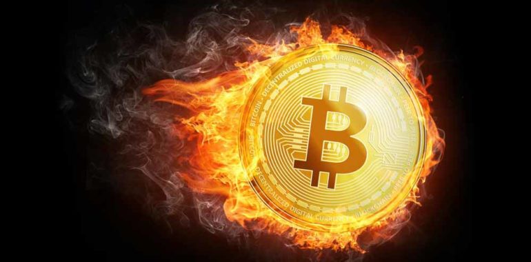 هل أصبحت العملة المشفرة استثمارًا يحلم به كل هندي؟