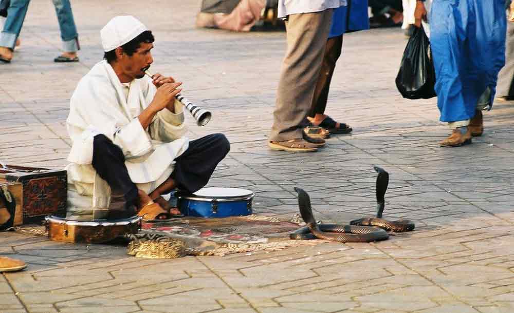 ثعبان ساحر - من مصر القديمة إلى اليوم