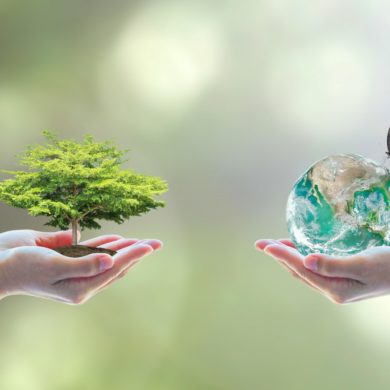 الأعمال لاتفاقية التنوع البيولوجي