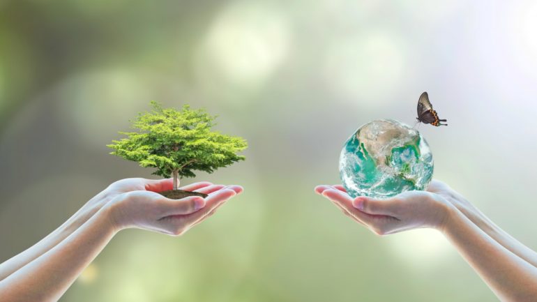 الأعمال لاتفاقية التنوع البيولوجي