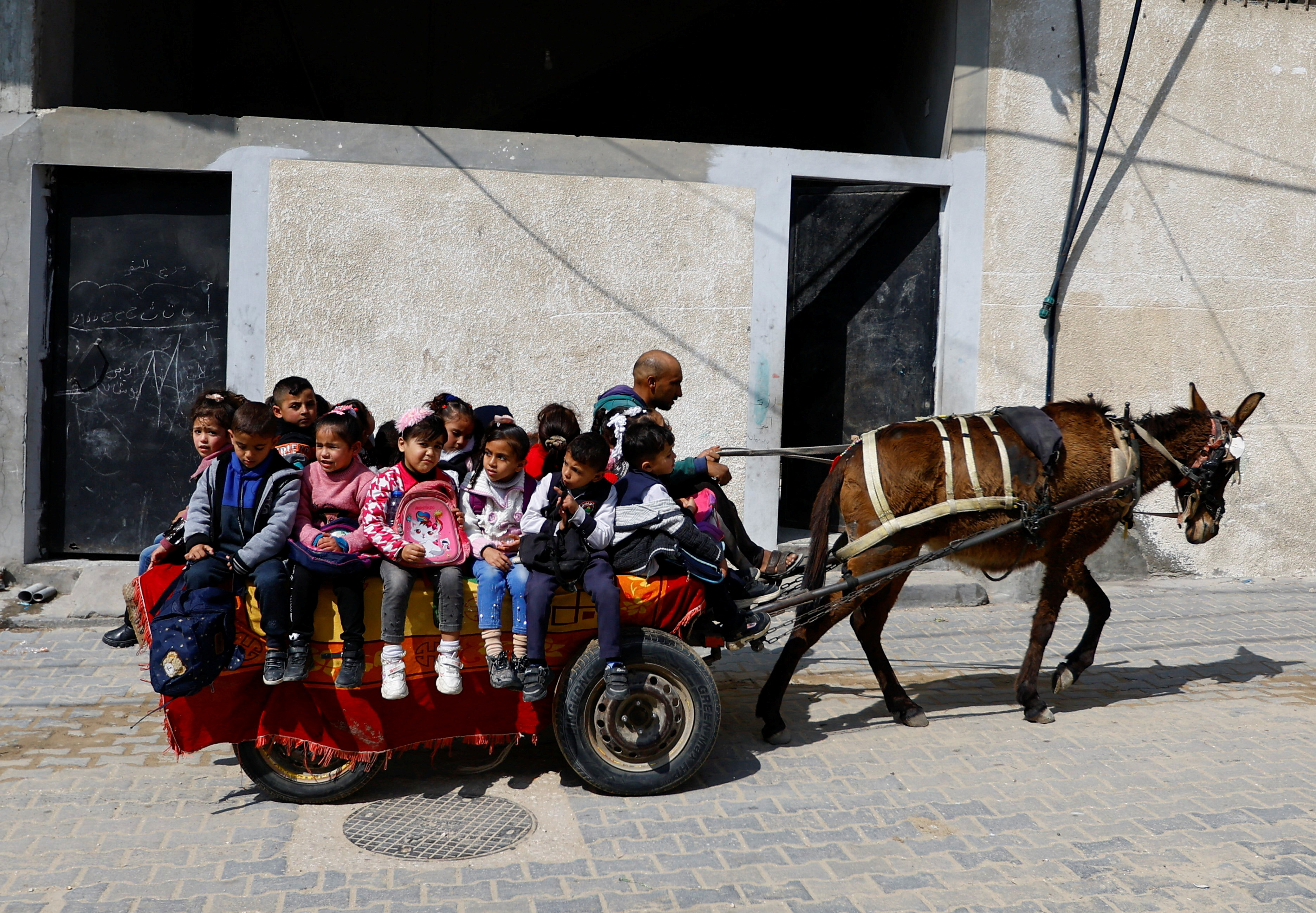 رجل من غزة يعرض على بعض الطلاب رحلة بعربة حمار منخفضة التكلفة للذهاب إلى المدرسة في خان يونس